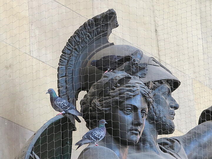 Die Tauben an der Feldherrenhalle haben ihren Weg aufs Denkmal gefunden.