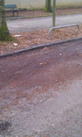 Straßen- und Grünstreifenpflege: Fehlanzeige. Die Bilder zum Durchklicken.