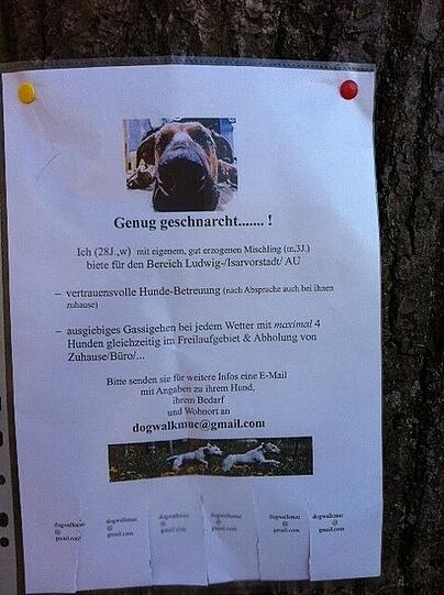 Mit diesem Aushang bietet ein Hundehalter in der Au seinen "Ausgeh"-Service für andere Hunde an.