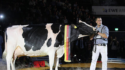 Landwirt Henrik Wille und seine Kuh "Lady Gaga" bei der Deutschen Holstein-Schau in Oldenburg. "Lady Gaga" wurde zur schönsten Kuh Deutschlands gekürt.
