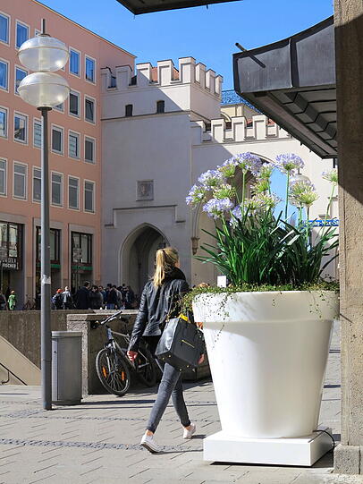 Der XXL-Blumentopf am Karlstor.