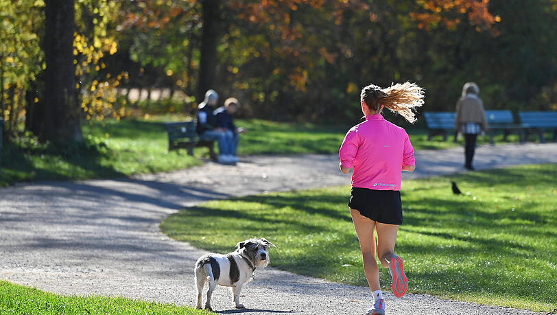 Bei schönem Wetter zieht es Hund und Mensch ins Freie. Doch für die Zamperl können in Parks oder Grünanlagen Gefahren lauern, wenn sie etwas vom Boden fressen. Bei schönem Wetter zieht es Hund und Mensch ins Freie. Doch für die Zamperl können in Parks oder Grünanlagen Gefahren lauern, wenn sie etwas vom Boden fressen.
