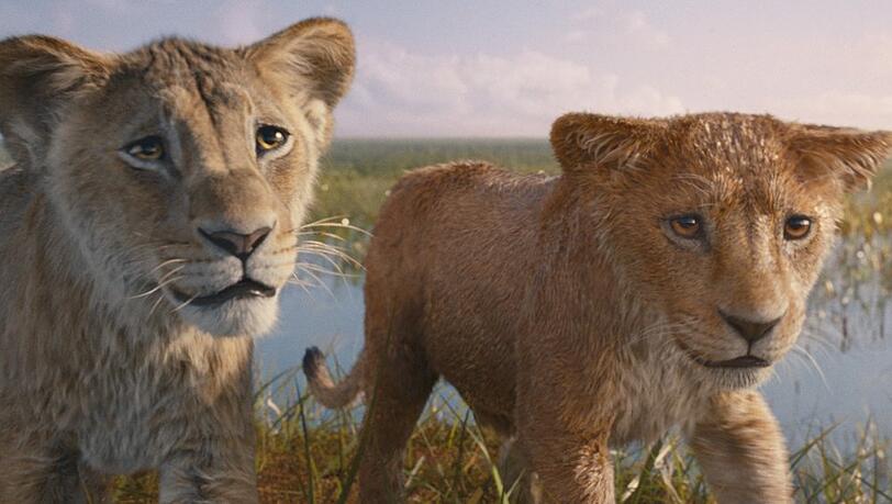 Fotorealistische Gefühlsregungen: Die jungen Löwen in "Mufasa: Der König der Löwen".