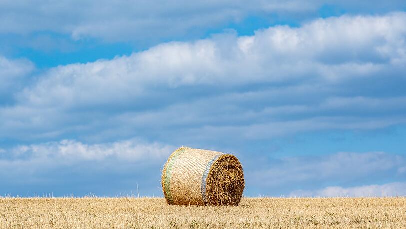 Der entstandene Schaden an der Maschine und am Feld ist groß. (Symbolbild)