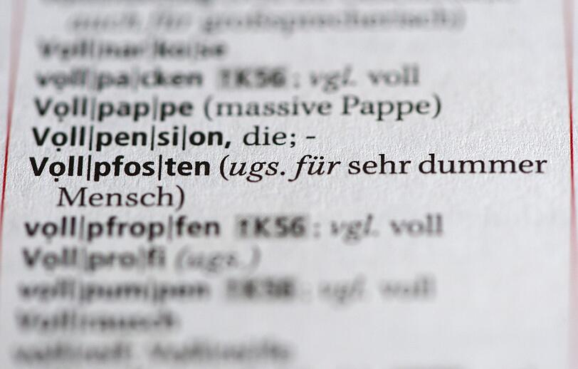 Vom "Shitstorm" bis zur "Vorständin" - die neuen Wörter im Duden zum Durchklicken.