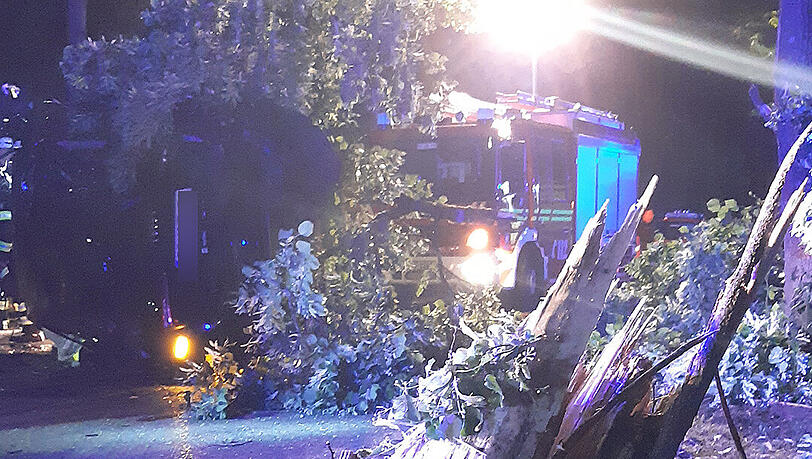 Auch zahlreiche Bäume wurden bei de Unfall in Mitleidenschaft gezogen. Auch zahlreiche Bäume wurden bei de Unfall in Mitleidenschaft gezogen.