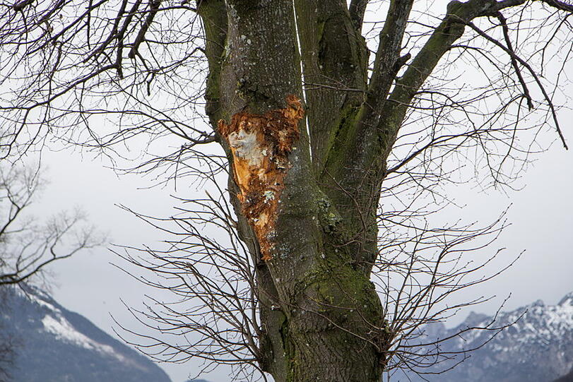 Die Bilder vom Lkw-Unfall in Anger.