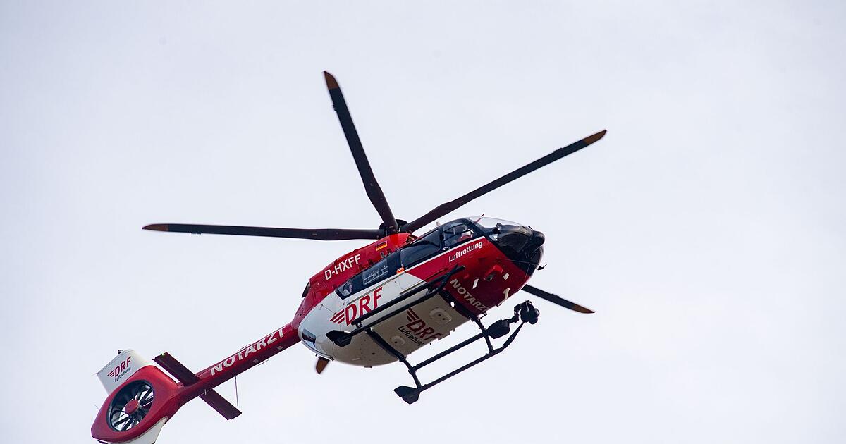 14-J-hriger-bei-Waldarbeiten-am-Kopf-verletzt