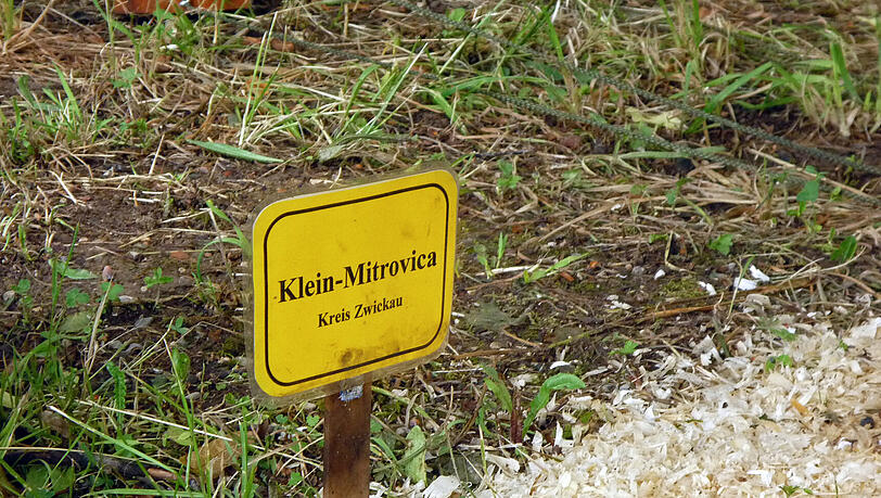Attacke auf „Klein-Mitrovica“: In der Bad Reichenhaller General-Konrad-Kaserne hat man eine ganz eigene Auffassung von einem kindertauglichen Unterhaltungs-Programm. Attacke auf „Klein-Mitrovica“: In der Bad Reichenhaller General-Konrad-Kaserne hat man eine ganz eigene Auffassung von einem kindertauglichen Unterhaltungs-Programm.