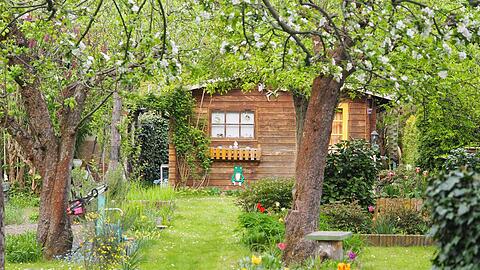 Obstbäume, heimische Stauden, eine Gartenhütte, die bepflanzt ist: So klappt es mit dem naturnahen Garten.
