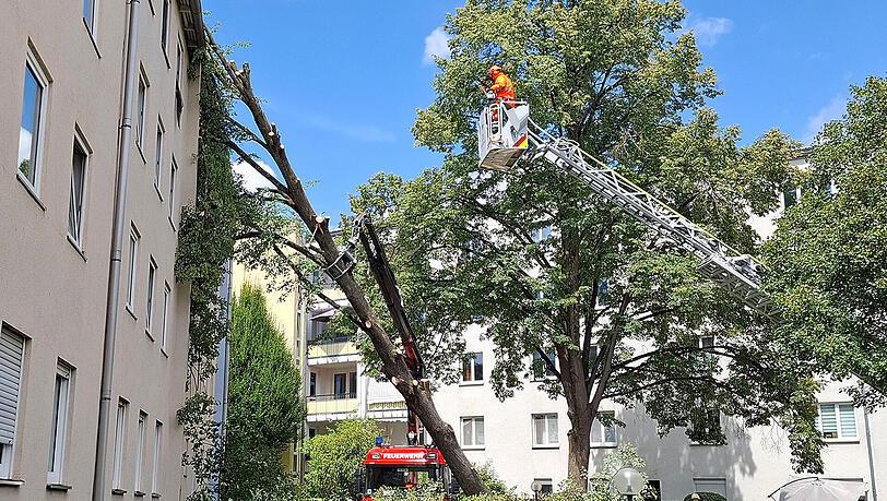 Mit einer Motors&auml;ge zerteilte die Feuerwehr den auf das Hausdach gest&uuml;rzten Baum.