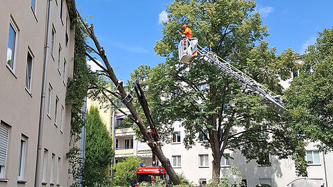 Mit einer Motors&auml;ge zerteilte die Feuerwehr den auf das Hausdach gest&uuml;rzten Baum.