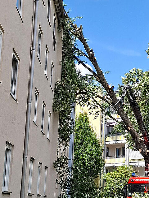 Mit einer Motors&auml;ge zerteilte die Feuerwehr den auf das Hausdach gest&uuml;rzten Baum.