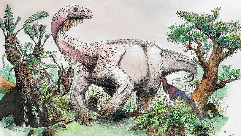 "Ledumahadi mafube" - frei übersetzt etwa "Donnergroll im Morgengrauen": Forscher haben in Südafrika eine neue rund 200 Millionen Jahre alte Dinosaurier-Art entdeckt.