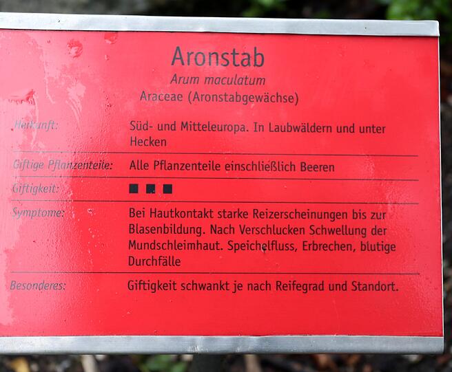 Auflösung siehe Tafel