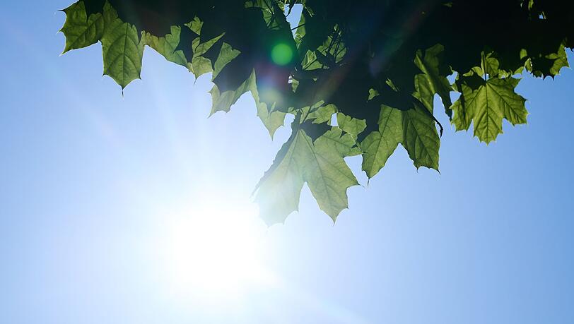 Die Sonne kann auch im Frühling schon gefährlich werden. Die Sonne kann auch im Frühling schon gefährlich werden.