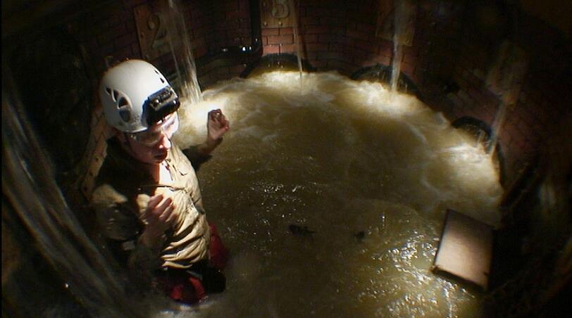 Das ängstliche It-Girl hält es jedoch nicht lange in dem von Tieren bewohnten Abwassersystem aus und bricht die Prüfung ab.