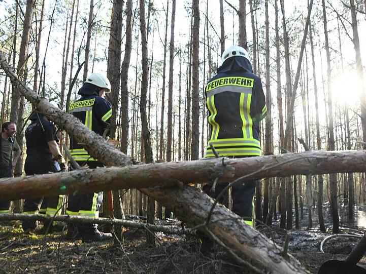 Rund 300 Quadratmeter Wald hatten am Mittwoch nahe Groß Kreutz in Brandenburg Feuer gefangen.