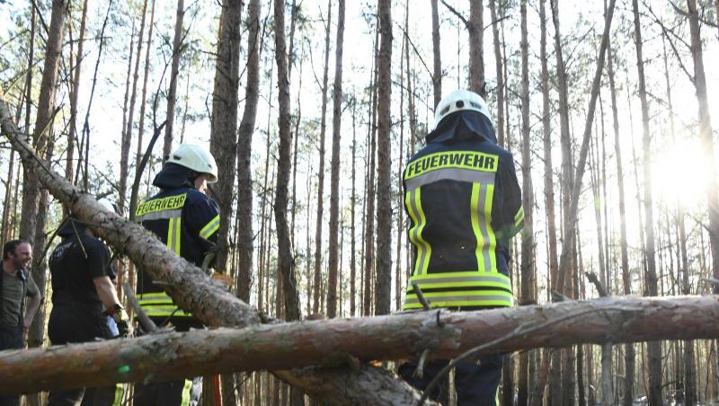 Rund 300 Quadratmeter Wald hatten am Mittwoch nahe Groß Kreutz in Brandenburg Feuer gefangen. Rund 300 Quadratmeter Wald hatten am Mittwoch nahe Groß Kreutz in Brandenburg Feuer gefangen.