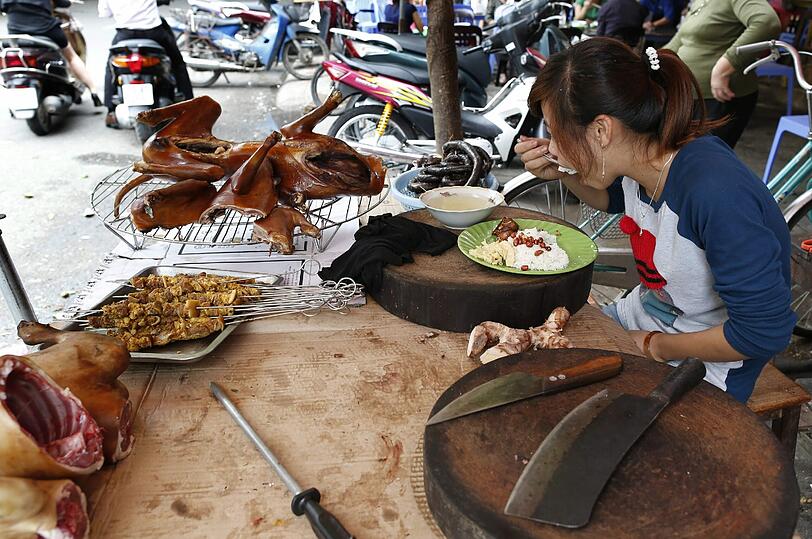 Hundefleisch gilt als besonders nahr - und proteinreich und ist eine besondere Spezialität in Vietnam. Hunde werden gekocht oder gegrillt, mit Krabbensauce oder Reisnudeln verzehrt.