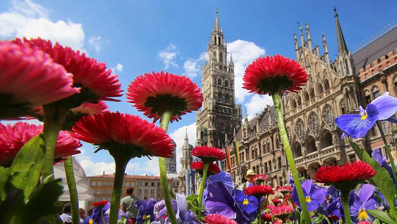Blumen vor dem Münchner Rathaus. (Archivbild)