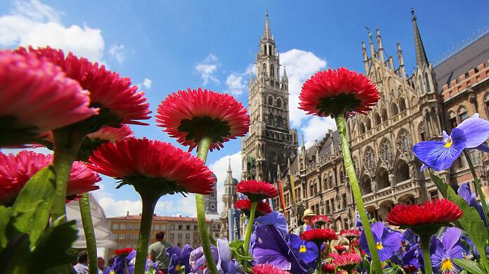 Blumen vor dem Münchner Rathaus. (Archivbild)