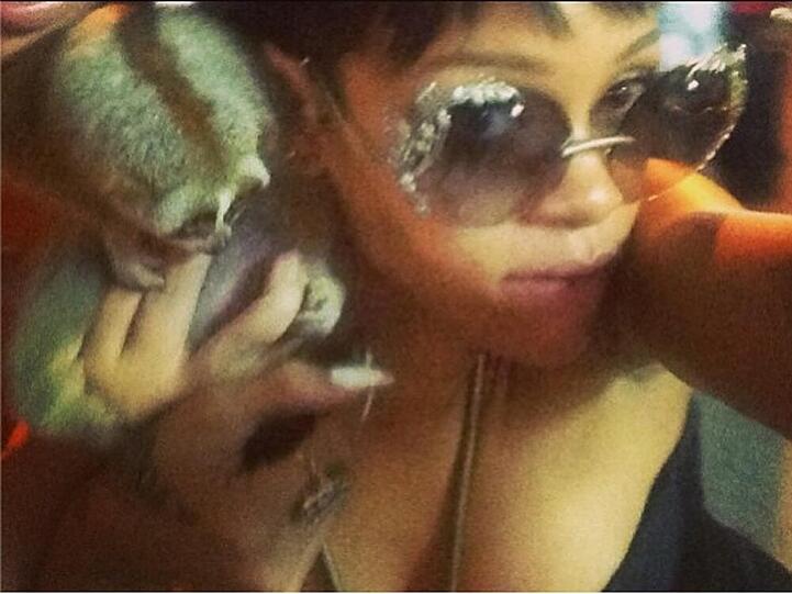 Rihanna posiert mit einem Äffchen