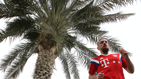 Die Bayern um Franck Ribéry treten in Riad an &ndash; der Stadt der Gärten (und Palmen).