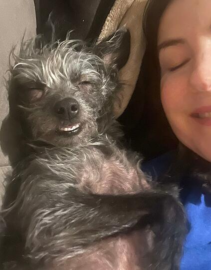 Dakota, erst 21 Monate alt, schon grau – und mein größter Schatz. Kein Rassehund, dafür einzigartig. Manche sagen "nicht hübsch" – für mich ist sie die Schönste. Schüchtern, voller Liebe und mein Sonnenschein, der nur zeitweise bei mir wohnt.