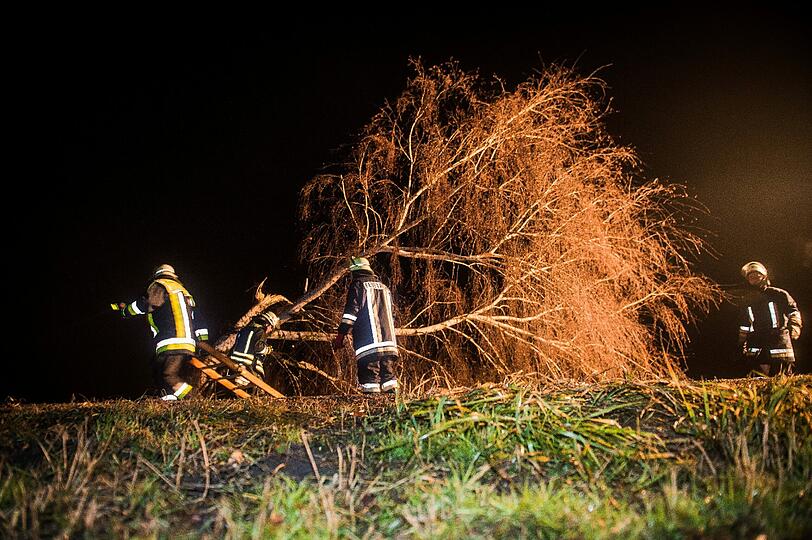 Der Wagen raste gegen einen Baum, entwurzelte ihn sogar. Der 35-jährige Fahrer starb noch am Unfallort.