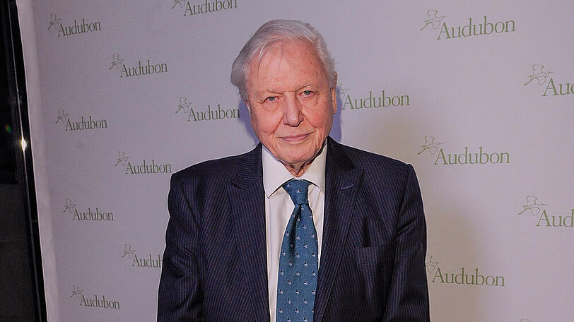 Sir David Attenborough hat Instagram wieder verlassen