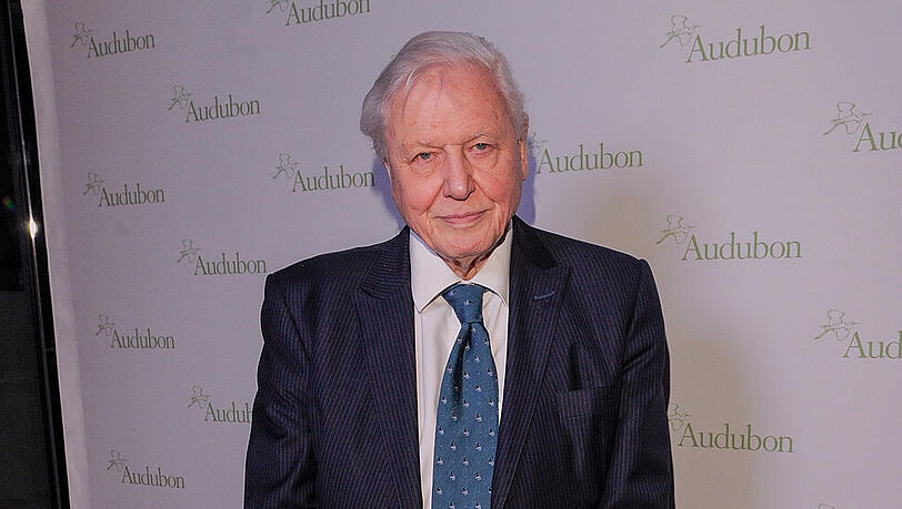 Sir David Attenborough hat Instagram wieder verlassen Sir David Attenborough hat Instagram wieder verlassen
