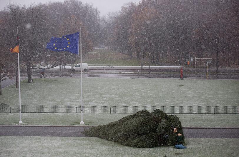 Den Weihnachtsbaum vor dem Schloss Bellevue in Berlin konnte Orkan Xaver nicht standhalten