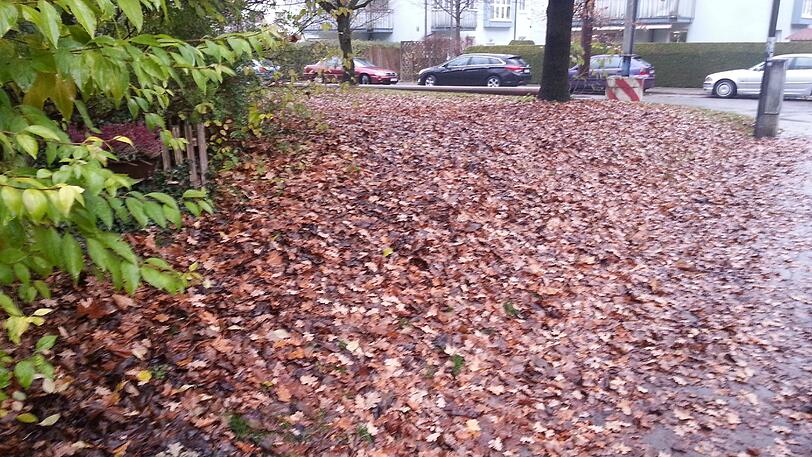 Laub überall: Diesen Fußweg in der Ursbergerstraße hat AZ-Leser Stephan Fischer dokumentiert.