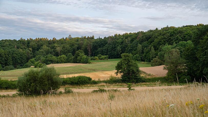 Wegen der Trockenheit steigt im Norden des Freistaates die Waldbrandgefahr. (Symbolbild)