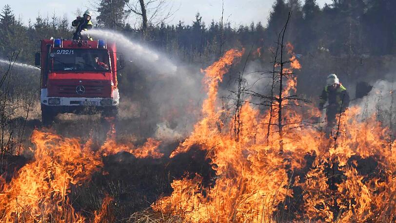 ...Spaziergänger hatten die Flammen bemerkt. Die Feuerwehr konnte die Brände löschen.