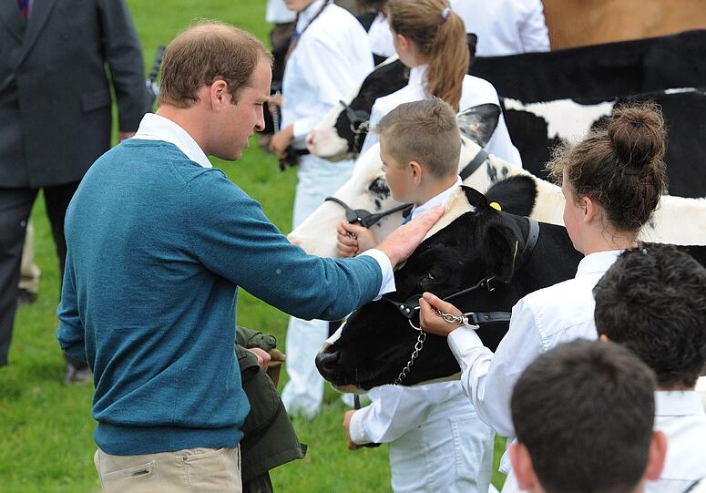 Prinz William bei der "Anglesey Show".