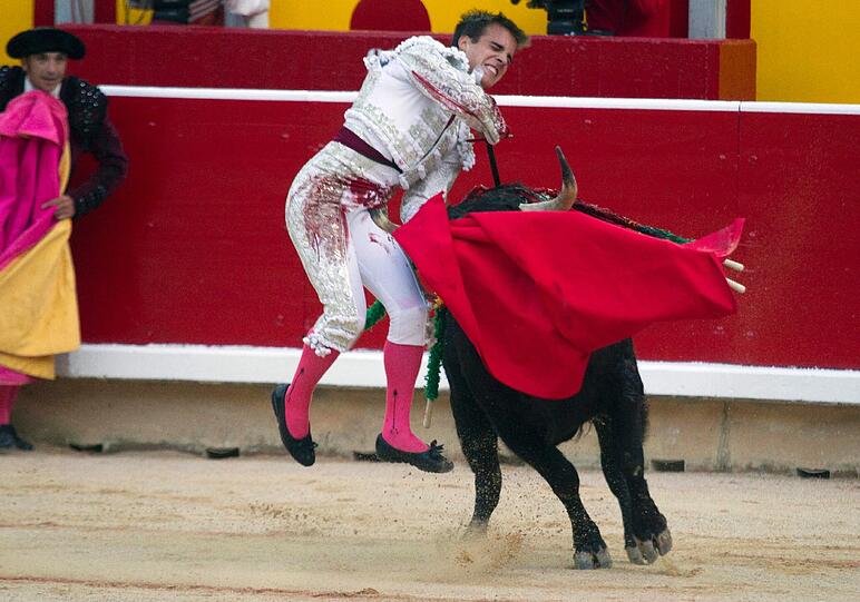 Aber auch diese Szenen gehören leider zum Festival und sind einer der Hauptauslöser der zahlreichen Proteste von Tierschutzorganisationen und sozialen Bewegungen - der Stierkampf sowie der traditionelle Stierlauf durch die Innenstadt von Pamplona.