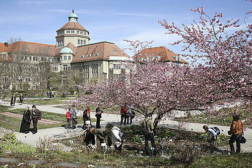 Direkt am Botanischen Garten ist unbemerkt eine 52-jährige Radlerin verunglück. War noch wer an dem Unfall beteiligt?