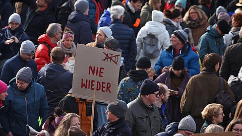 Großdemo gegen rechts in München im Januar: Viele gingen gegen die AfD auf die Straße. (Archiv)
