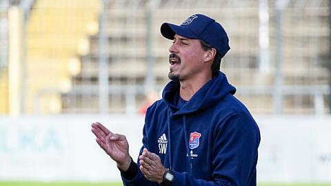 Sandro Wagner.
