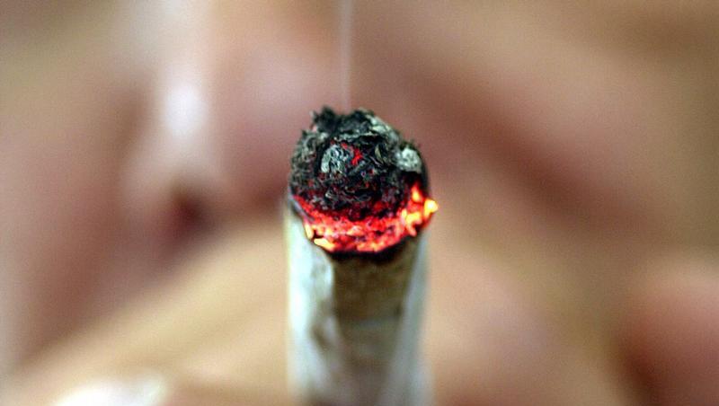 In den Niederlanden wird der Handel mit kleinen Mengen Haschisch und Marihuana nicht verfolgt. In den Niederlanden wird der Handel mit kleinen Mengen Haschisch und Marihuana nicht verfolgt.