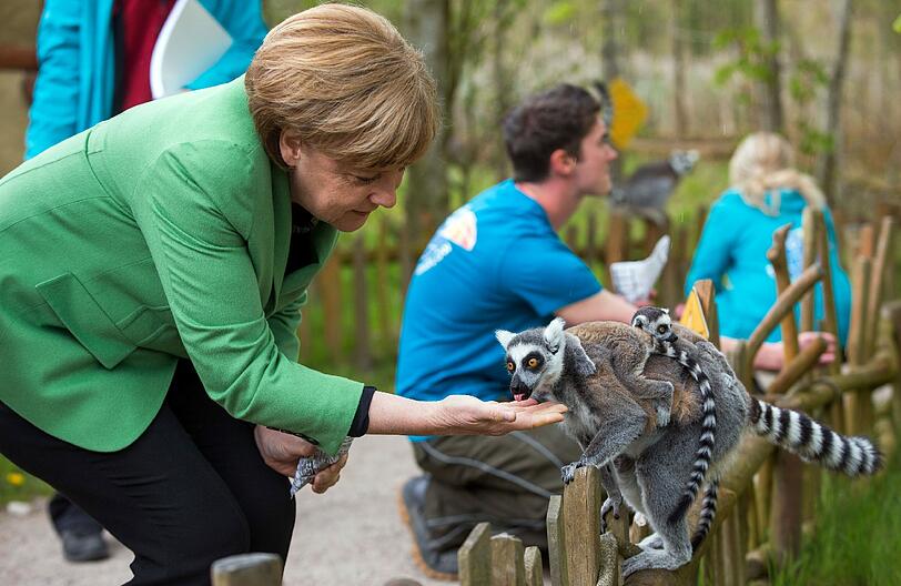 Fernab der Probleme in Berlin hat Kanzlerin Angela Merkel tierisch Spaß in einem Tierpark in der Nähe von Rostock. Die Bilder.