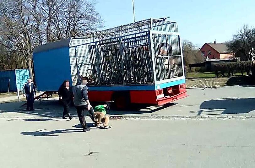 Der Besitzer holt sogar zum Tritt aus.