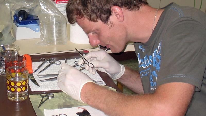 Jens-Eike Täubert untersucht im Lehrstuhl für Zoologie an der TU München eine Forelle. Foto: TUM/Archiv Jens-Eike Täubert untersucht im Lehrstuhl für Zoologie an der TU München eine Forelle. Foto: TUM/Archiv