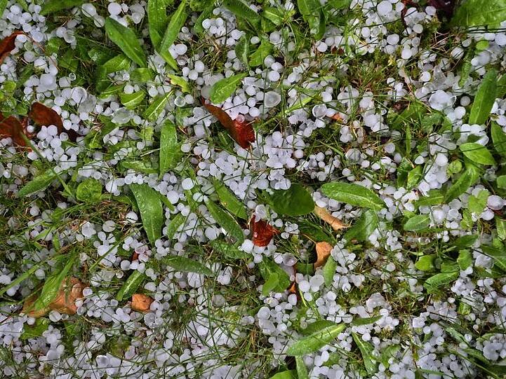 Hagelkörner liegen in einem Garten auf dem Rasen. Foto: Karl-Josef Hildenbrand/dpa/Symbolbild