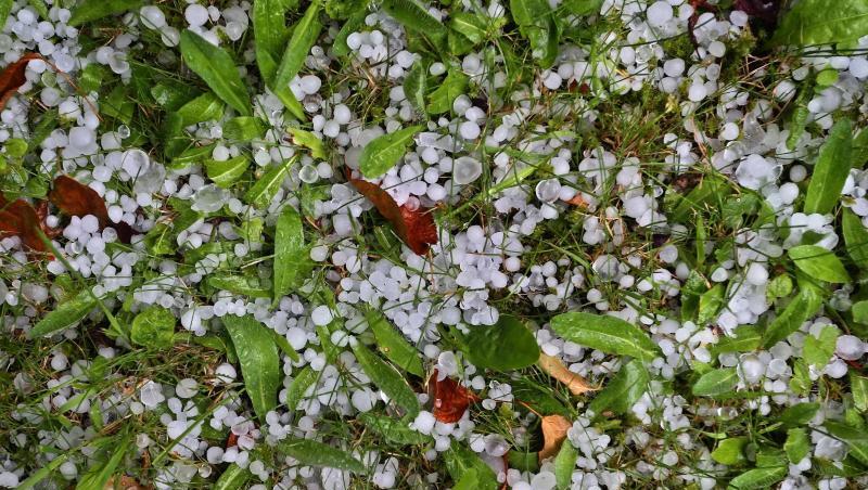Hagelkörner liegen in einem Garten auf dem Rasen. Foto: Karl-Josef Hildenbrand/dpa/Symbolbild Hagelkörner liegen in einem Garten auf dem Rasen. Foto: Karl-Josef Hildenbrand/dpa/Symbolbild