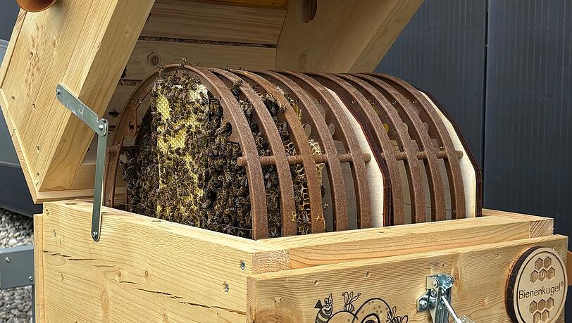 Bei dem Bienenkaste handelt es sich in disem Fall um eine Bienenkugel, die den nat&uuml;rlichen Bautrieb der Bienen unterst&uuml;tzt&ldquo;, sagt Klapp.