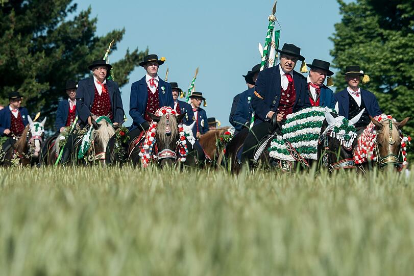 Die Prozession mit rund 900 Reitern zählt zu den ältesten bayerischen Brauchtumsveranstaltungen. Bei dem Bittgang im Sattel von prächtig geschmückten Pferden pilgern die "Mannerleut" von Kötzting zur rund sieben Kilometer entfernten Nikolauskirche in Steinbühl. Die Bilder!