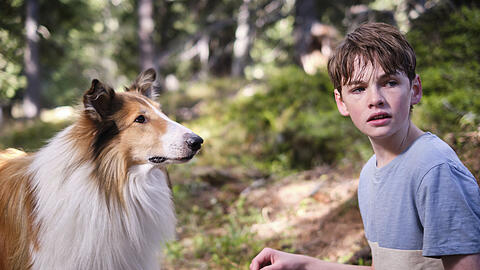 Nico Marischka und Collie Bandit sind Flo und Lassie.